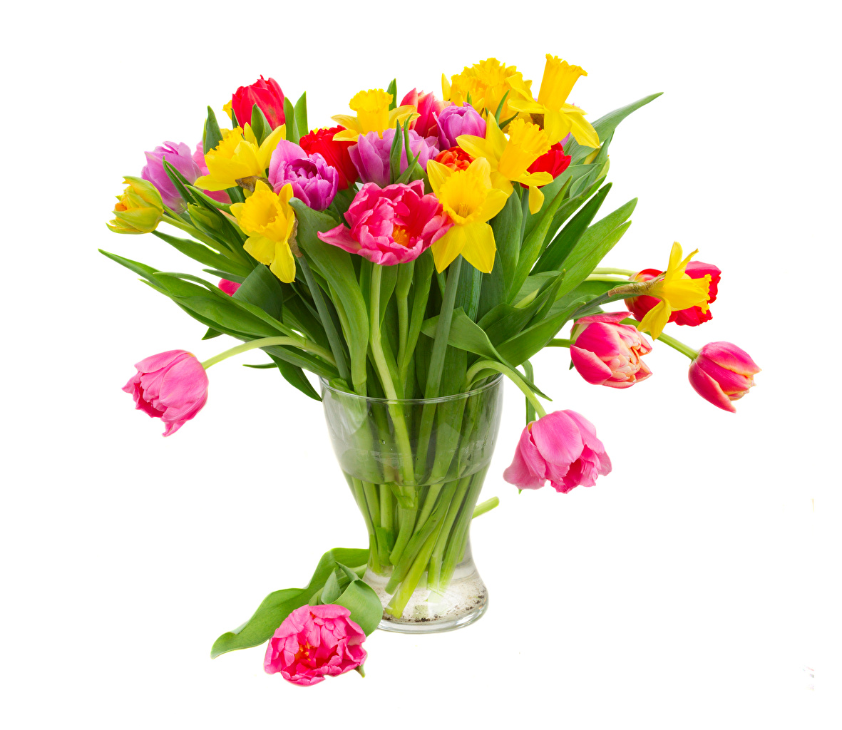 Bouquets Tulips Daffodils White background Vase 519000 1181x1024
