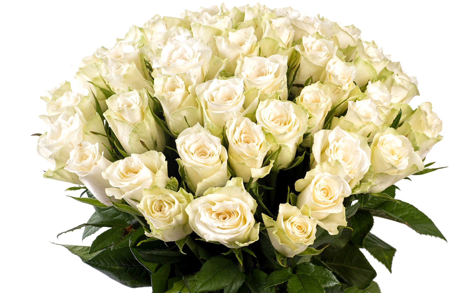 kartinki24 ru bouguets of flowers 104