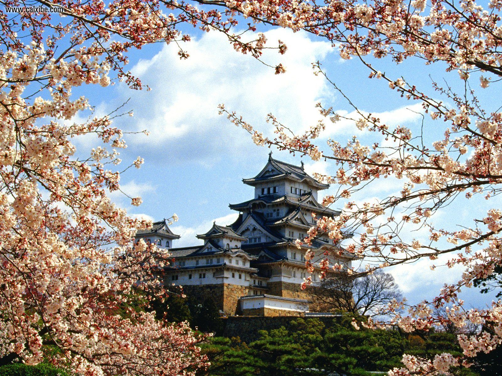 Himejijo Castle Himeji Kinki Japan